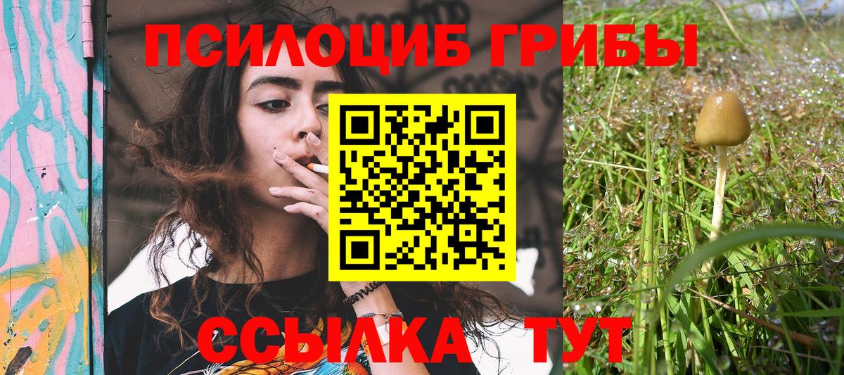 Галлюциногенные грибы прущие грибы Зеленогорск